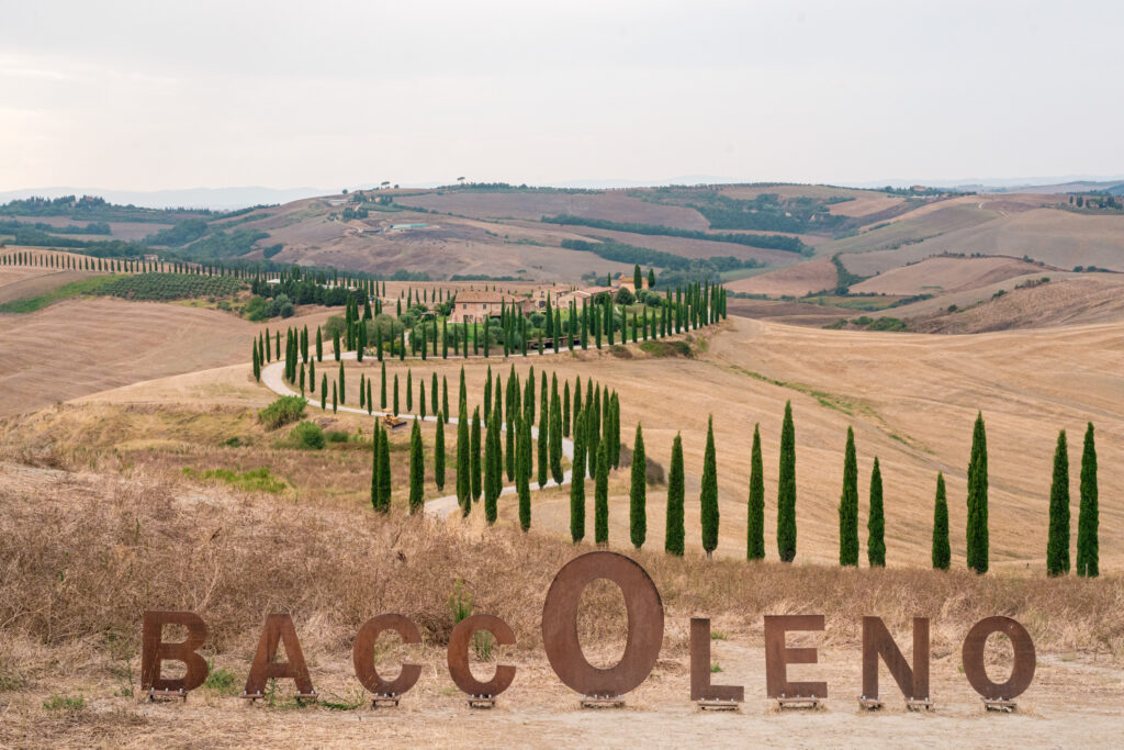 Proposal wedding photographer agriturismo baccoleno Siena