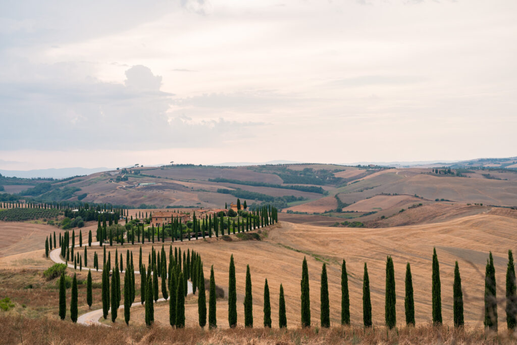 Proposal wedding photographer agriturismo baccoleno Siena